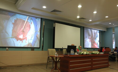 VIII научно-практическая конференция урологов восточной Сибири с международным участием «Актуальные вопросы урологии»